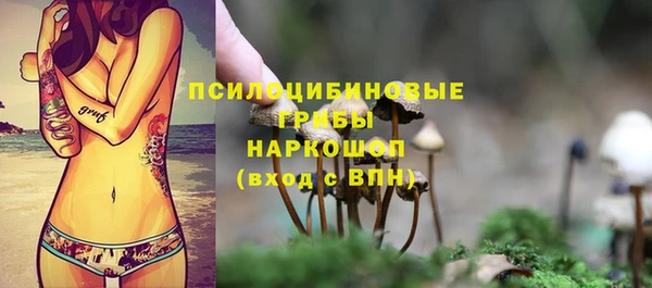 СК Горняк