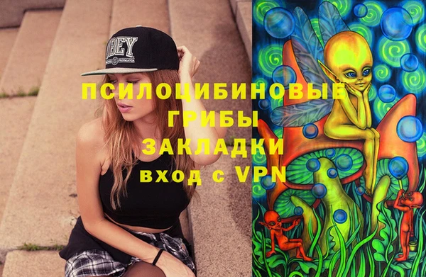 СК Горняк