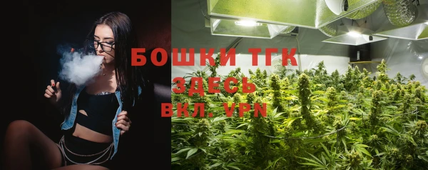 СК Горняк