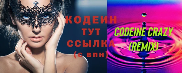 скорость Вяземский