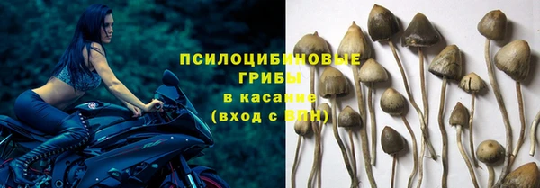 винт Горнозаводск